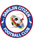 龙仁FC